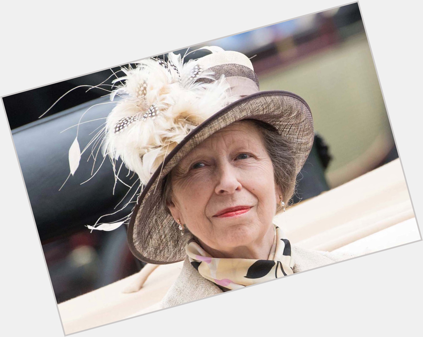 Royal family posts tributes to Princess Anne on her 71st birthday - Page Six  