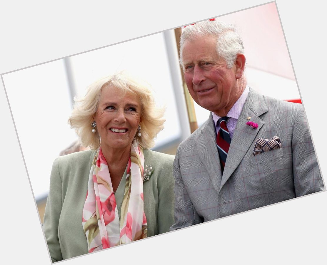 Happy birthday Camilla! The Duchess looks amazing in this portrait for her 70th  