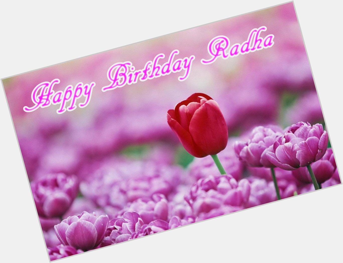  Happy Birthday Radha!

Have a wonderful Day!!! :) 