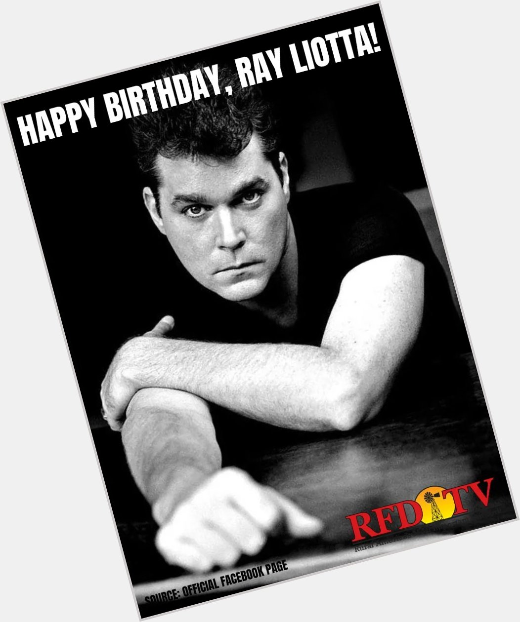 Happy Birthday to the late Ray Liotta!  