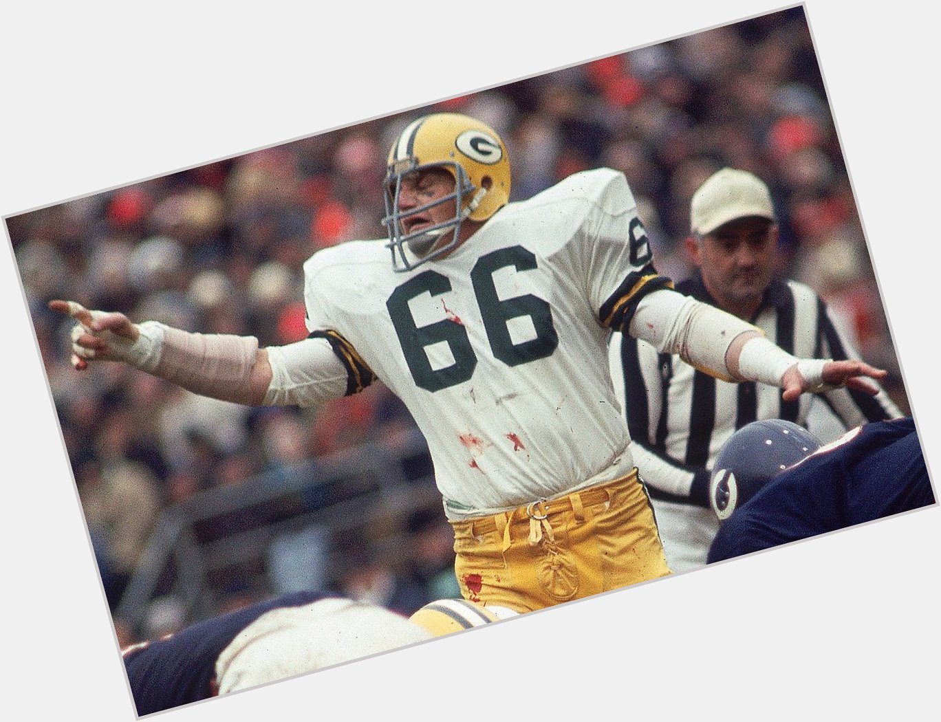 Happy Birthday to Ray Nitschke, who would have turned 81 today! 