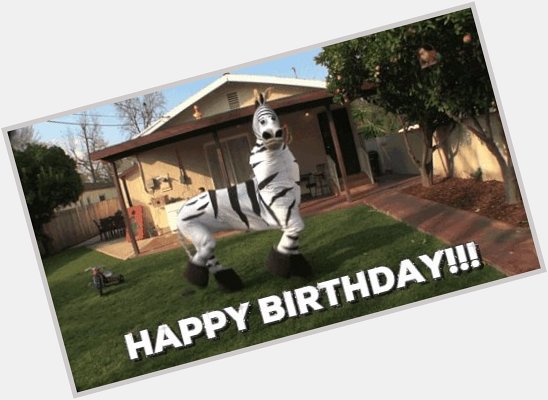  Happy birthday gorgeous instead of balloons here s a crazy deformed dancin zebra    