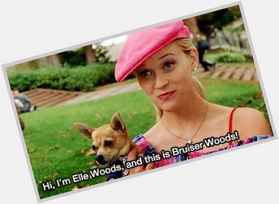 Happy Birthday Reese Witherspoon aka Elle Woods! 