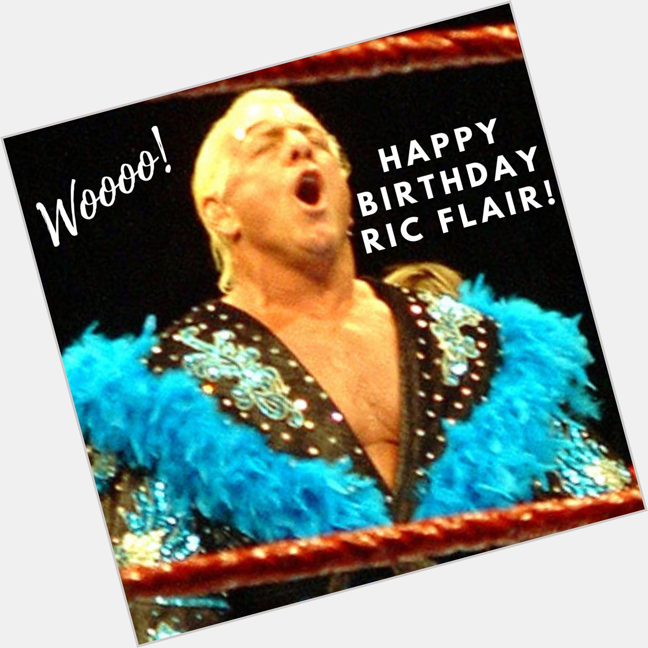 WOOOOOOOO! Happy Birthday to the Nature Boy Ric Flair! 