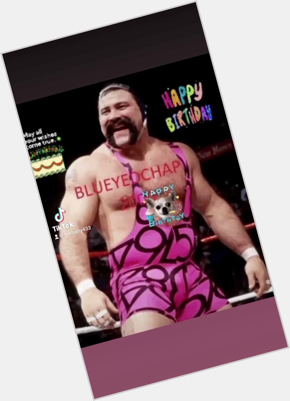 Welcome to the dog pound happy birthday Rick Steiner love ya so big 