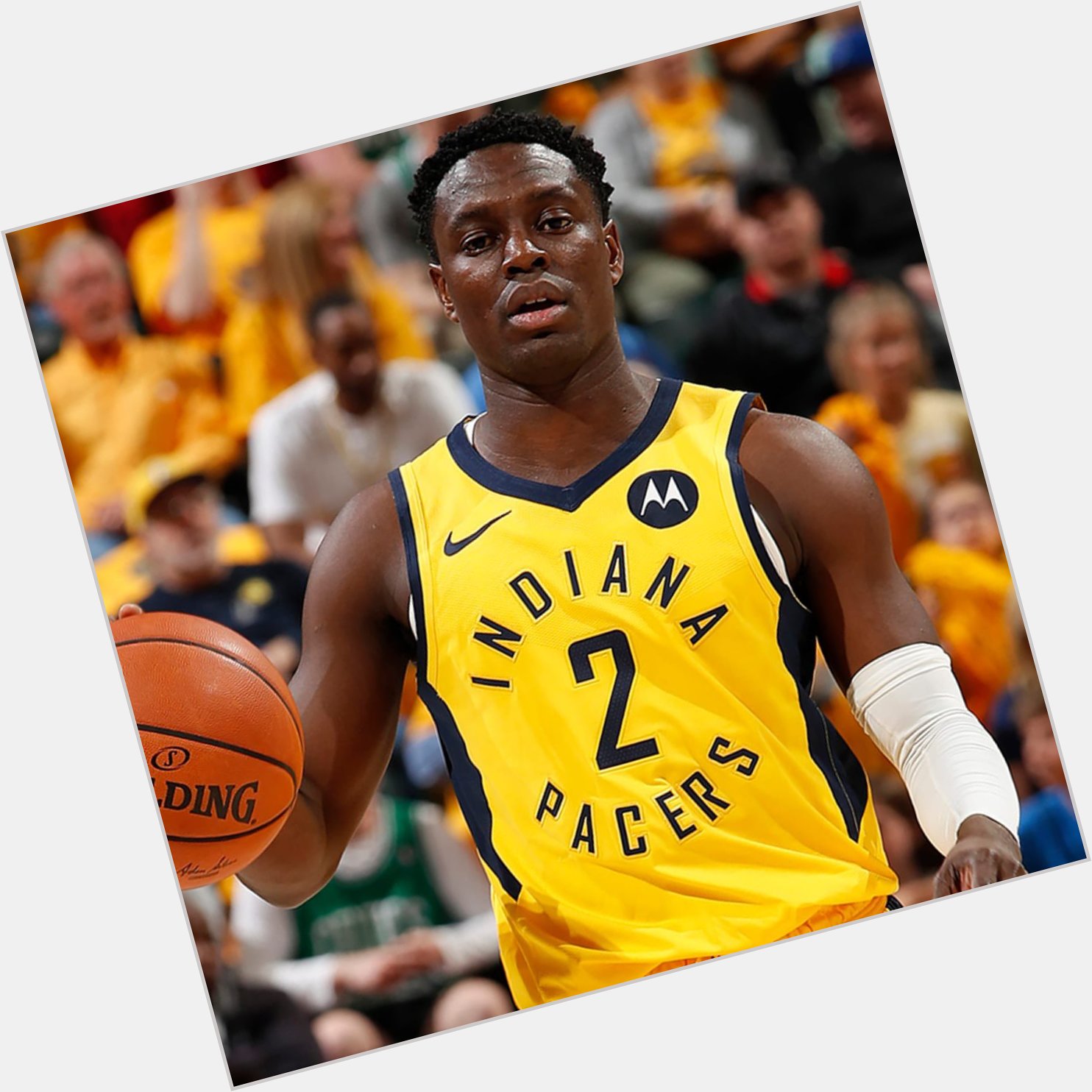 Happy Birthday to these former Indiana Pacers, Darren Collison (35 years old) and Rik Smits (56 years old). 