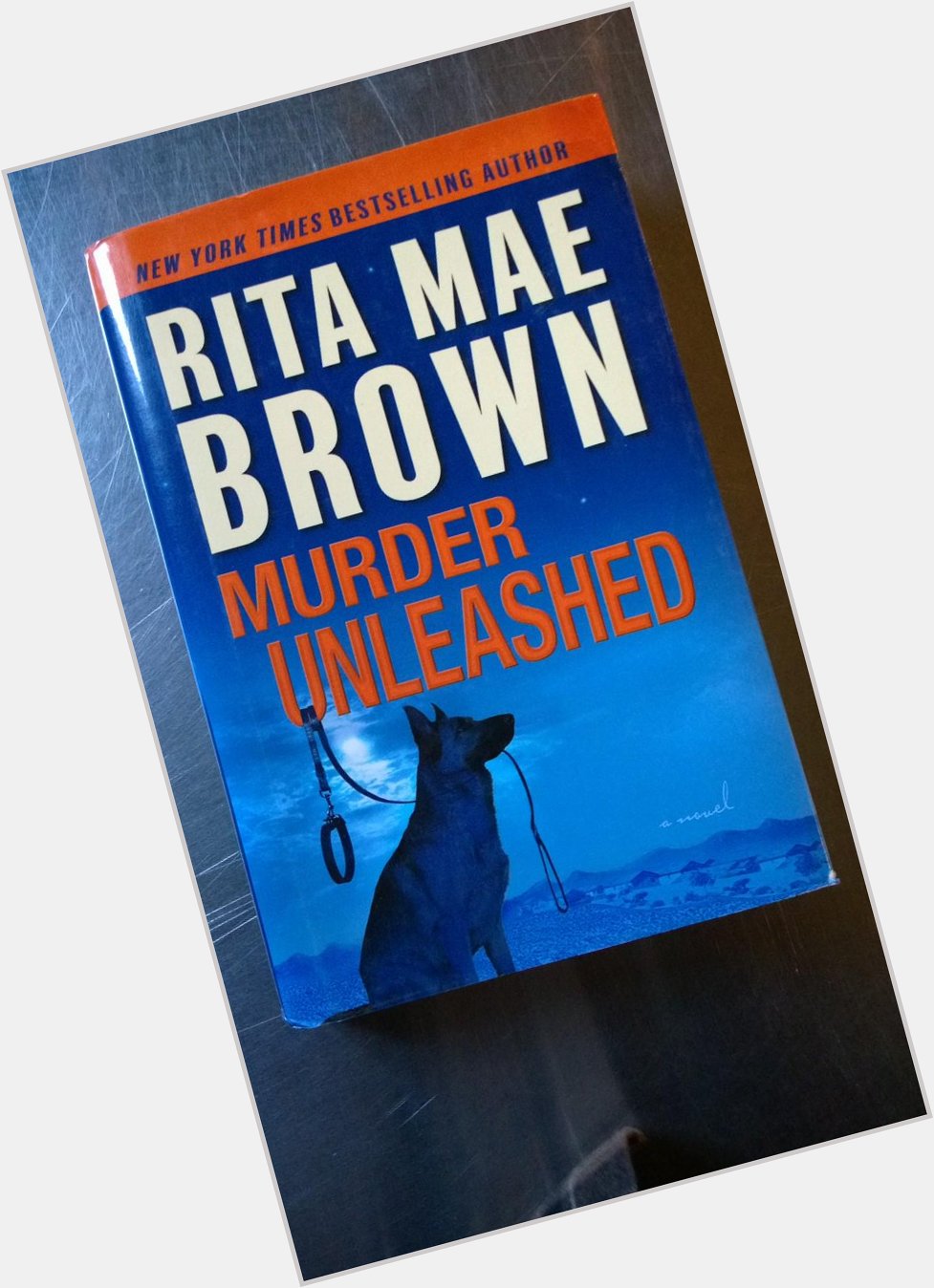 Happy 70th Birthday to Rita Mae Brown! 