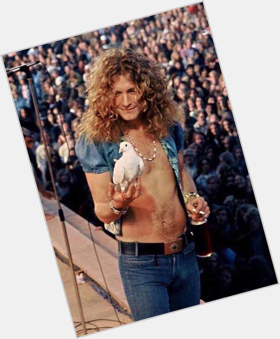 Happy birthday Robert Plant! This dove flew into his hand during a concert in 1973  James Fortune 