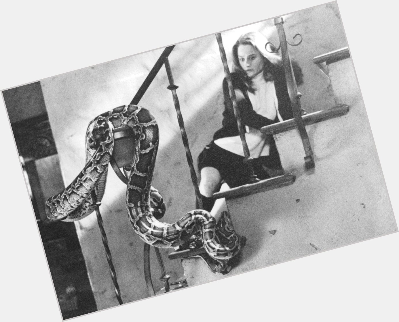 Happy birthday to Robin Tunney, featured here behind snake. 