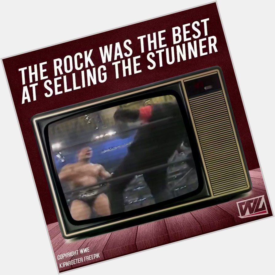 Happy Birthday to the Rock, the only person to always sell the Stunner perfectly! 