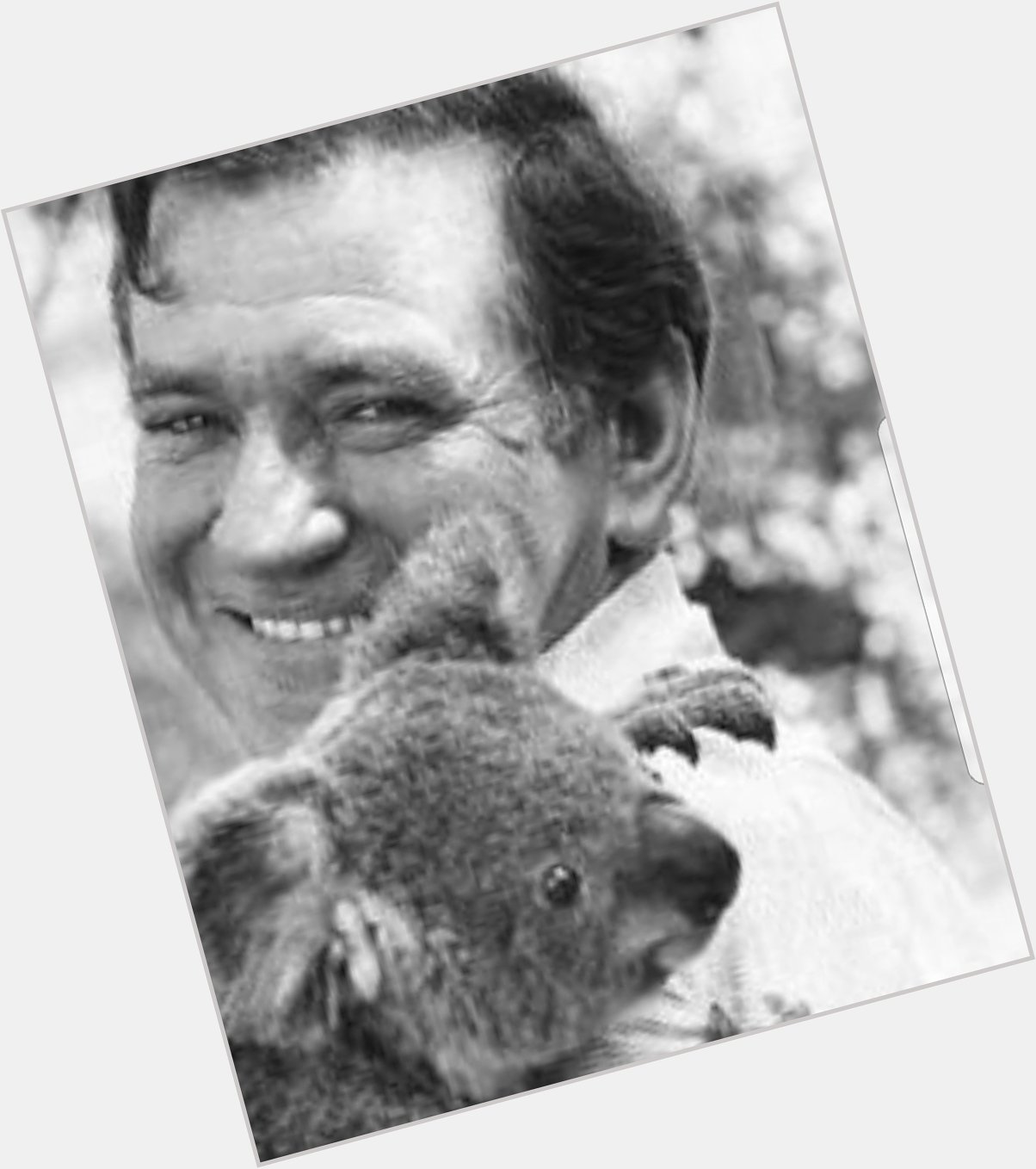 Happy birthday Rod Taylor, you saucy koala snuggler. 