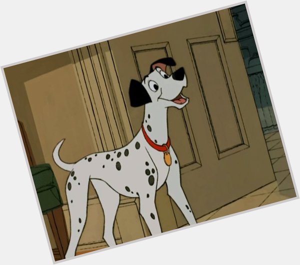 Happy Birthday to Rod Taylor! A lovable actor who made a lovable pup come to life in 101 Dalmatians. 