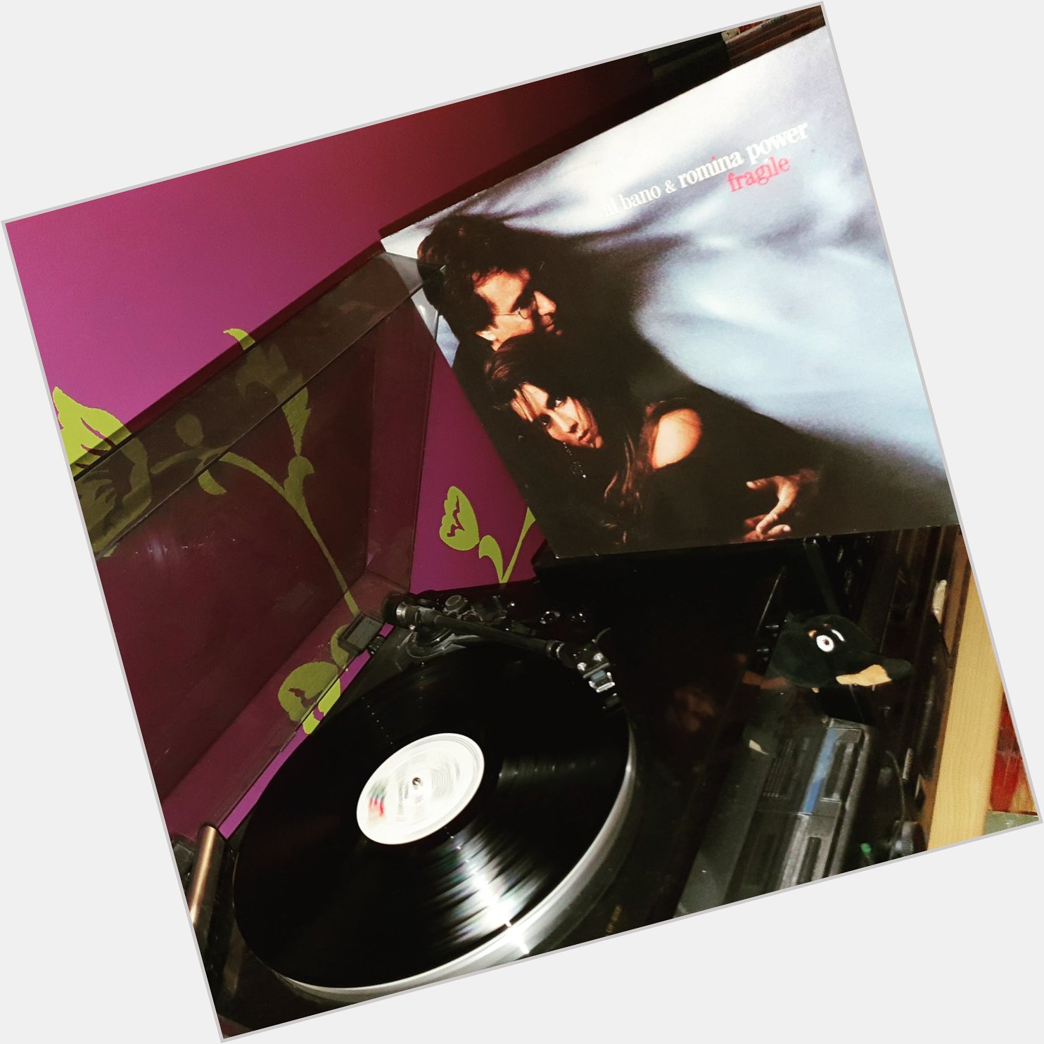 Happy Birthday Romina Power *69*!
Al Bano & Romina Power - Fragile (WEA/1988) Club-Edition  