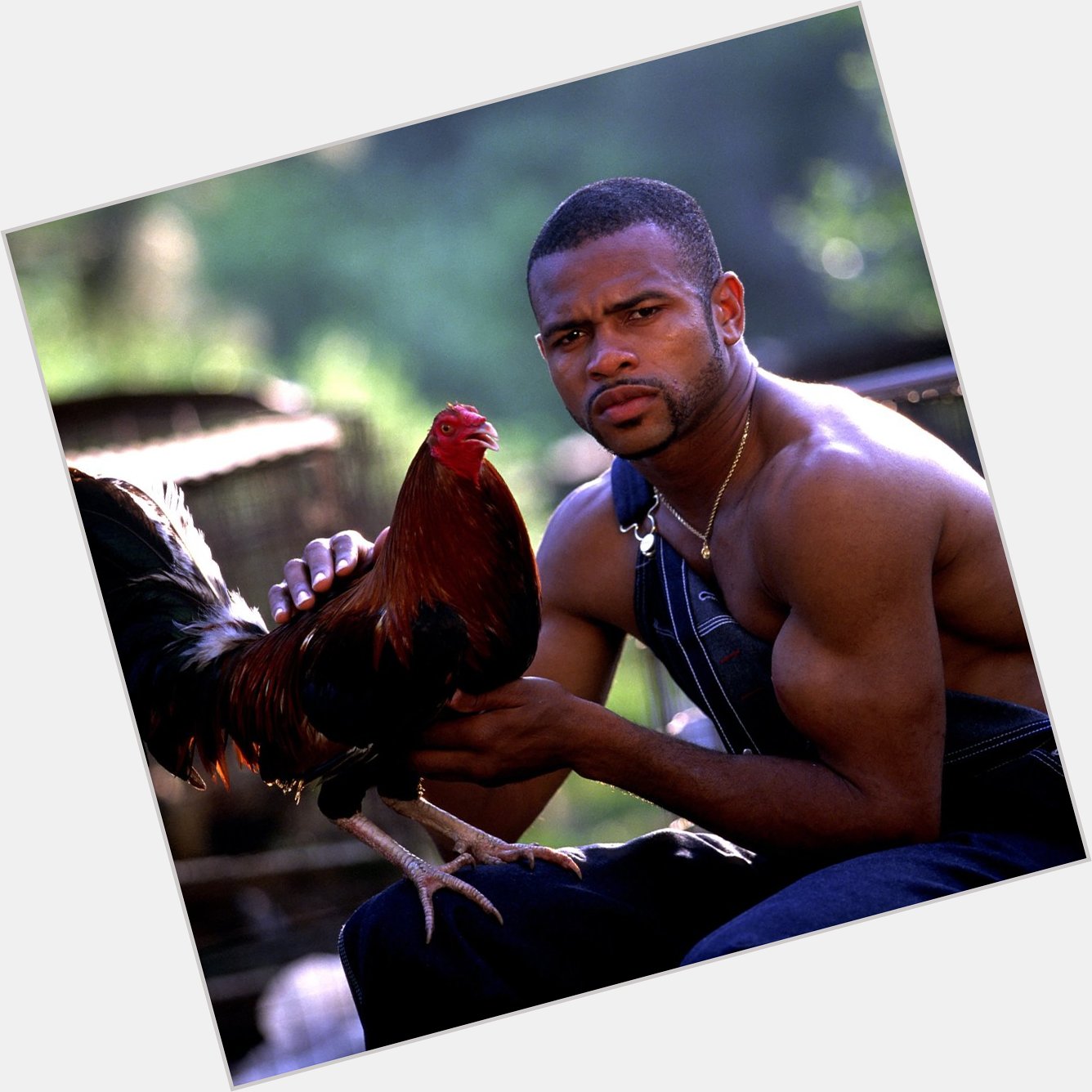 Happy Birthday to boxing legend Roy Jones Jr. and his photoshoot in dungarees holding a rooster. 