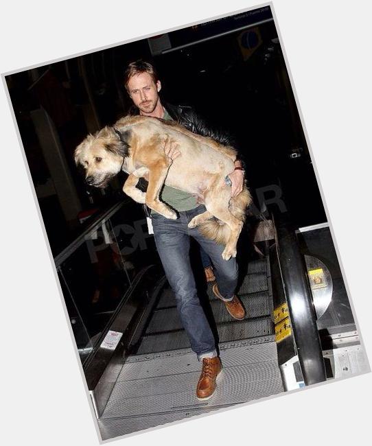 Happy birthday Ryan Gosling. A man who looks cool even when carrying a really big dog up an escalator 