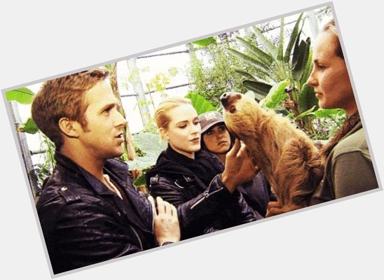  Happy birthday! Ryan Gosling and a sloth... 