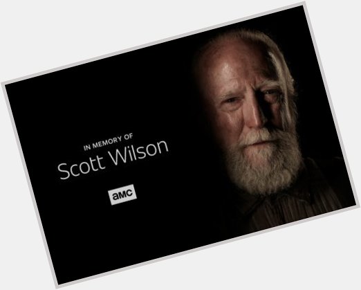 Happy birthday Scott Wilson. 