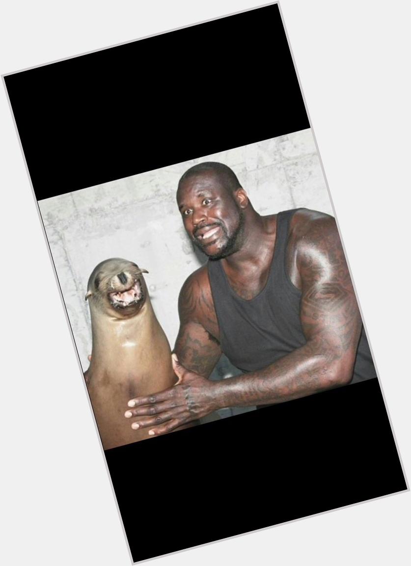  Happy birthday you slut here\s a picture of shaq looking alarmed with a seal and one sassy Mexican  