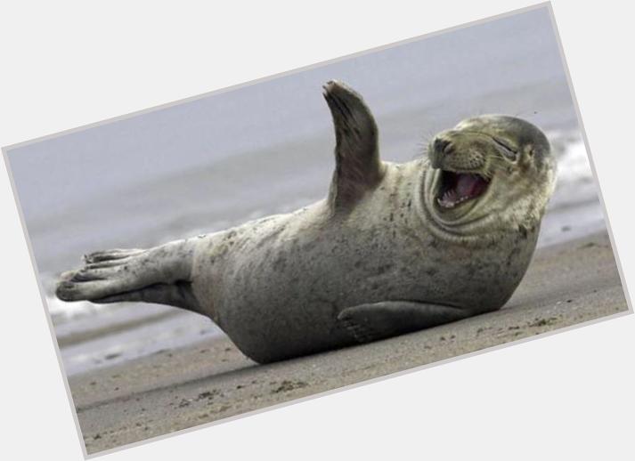 Happy birthday I don\t have a picture of you so here\s a seal laughing 