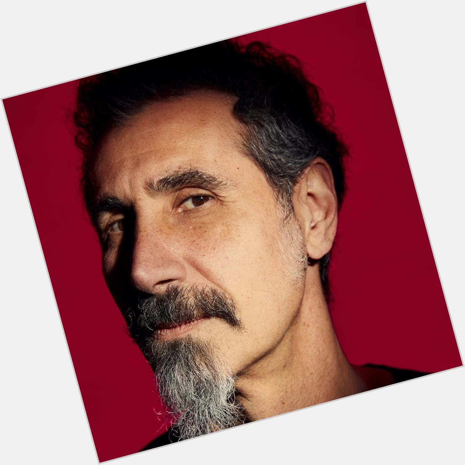 Happy Birthday, Mr. Serj Tankian  