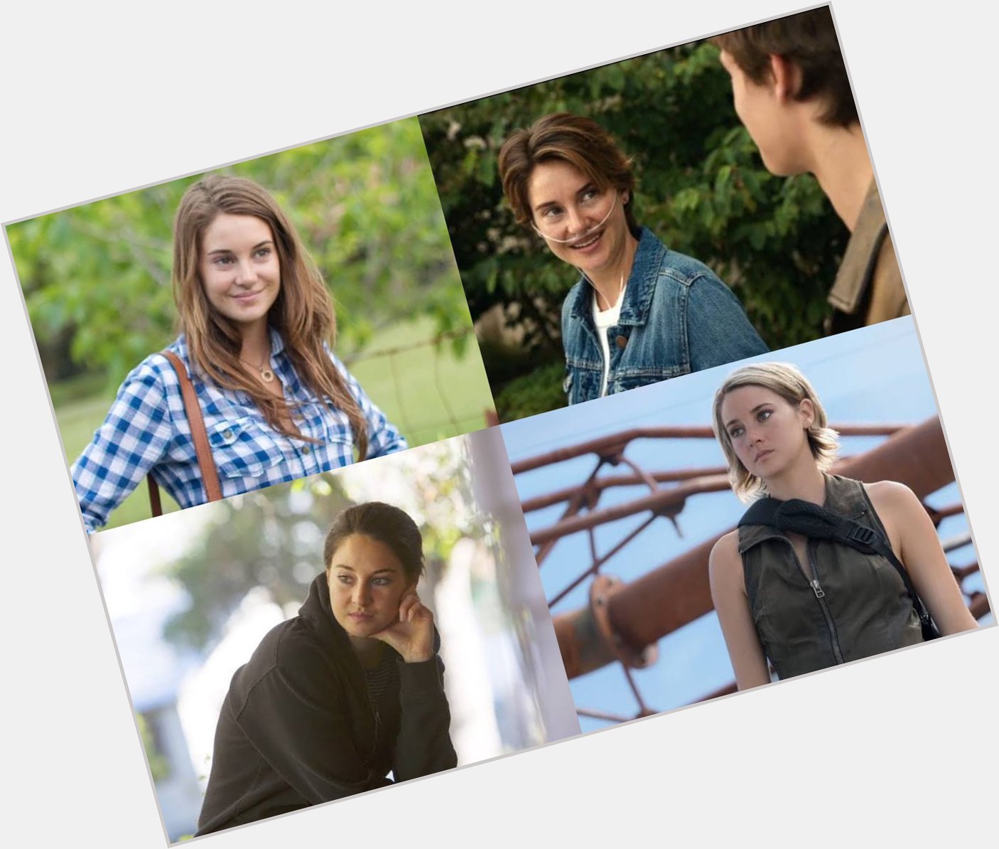 Mvs happy birthday shailene woodley film favorit kalian dari dia apa ni?? 