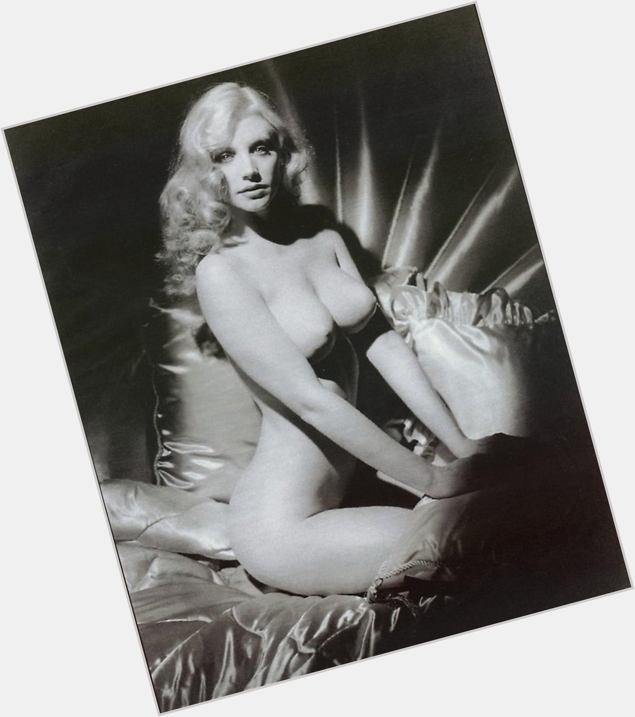 Happy birthday to the great Shannon Tweed seen here in her classic photos by George Hurrell: 