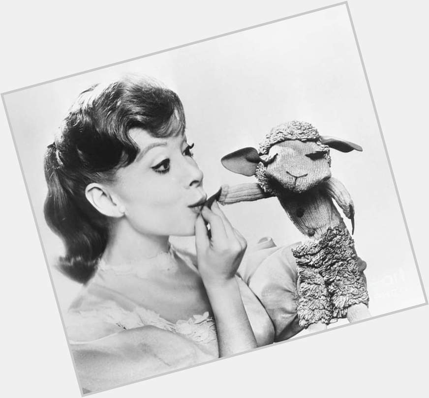 Happy Birthday to the late great Shari Lewis. 