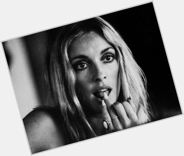 Happy 72nd birthday to the flawless Sharon Tate 