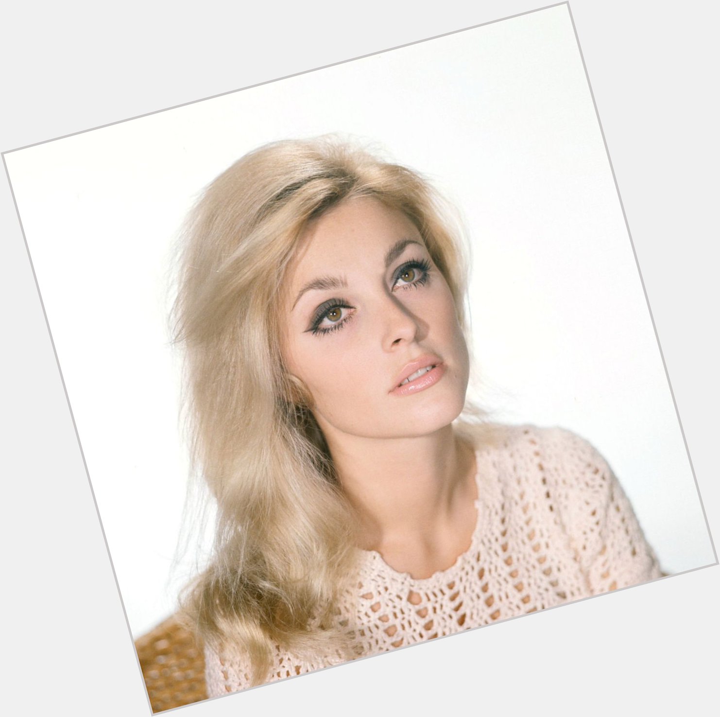  ON WITH Wishes:
Sharon Tate A Happy Birthday! 