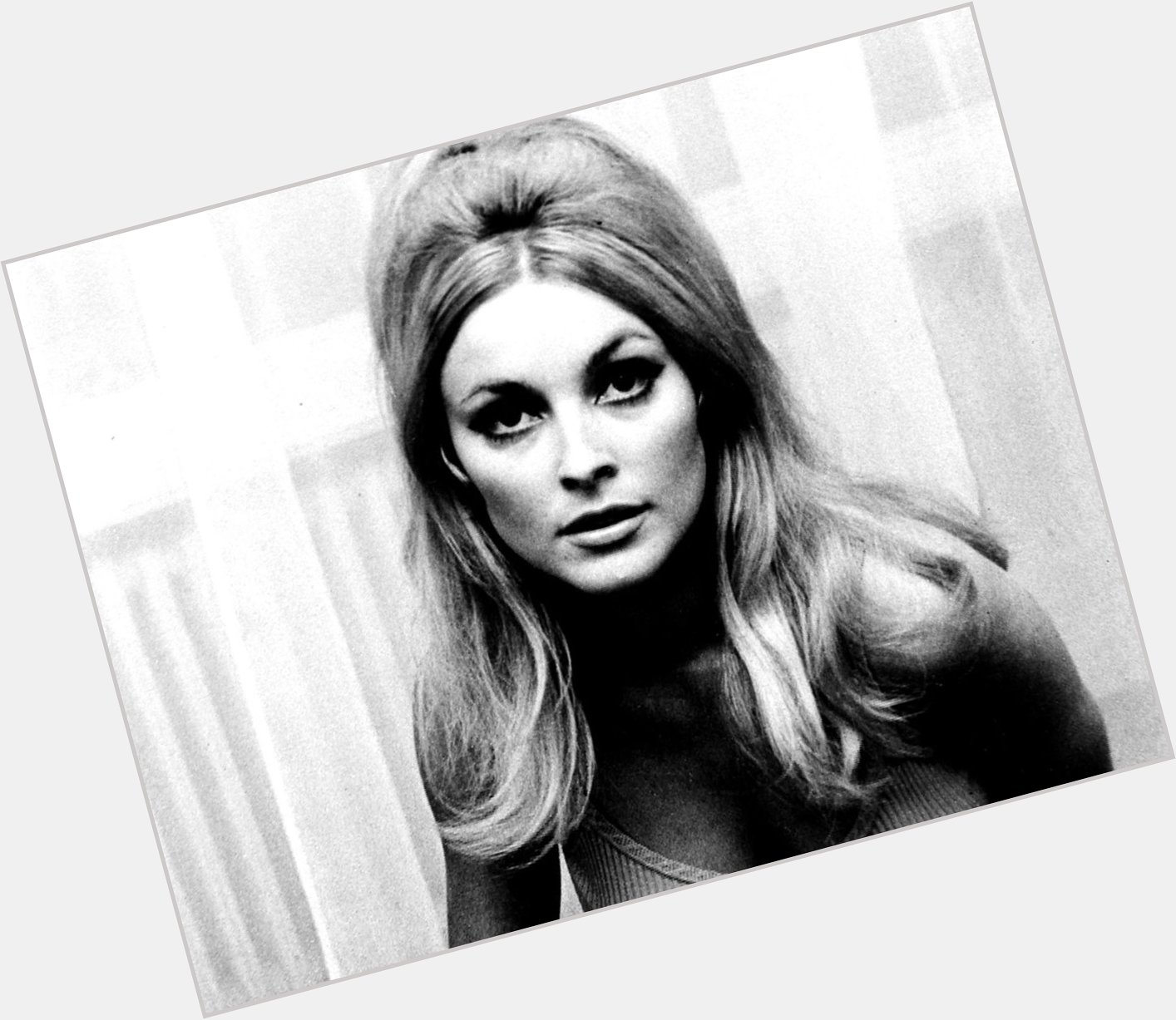 Happy Birthday to the late Sharon Tate. What\s your favorite film featuring the actress? 