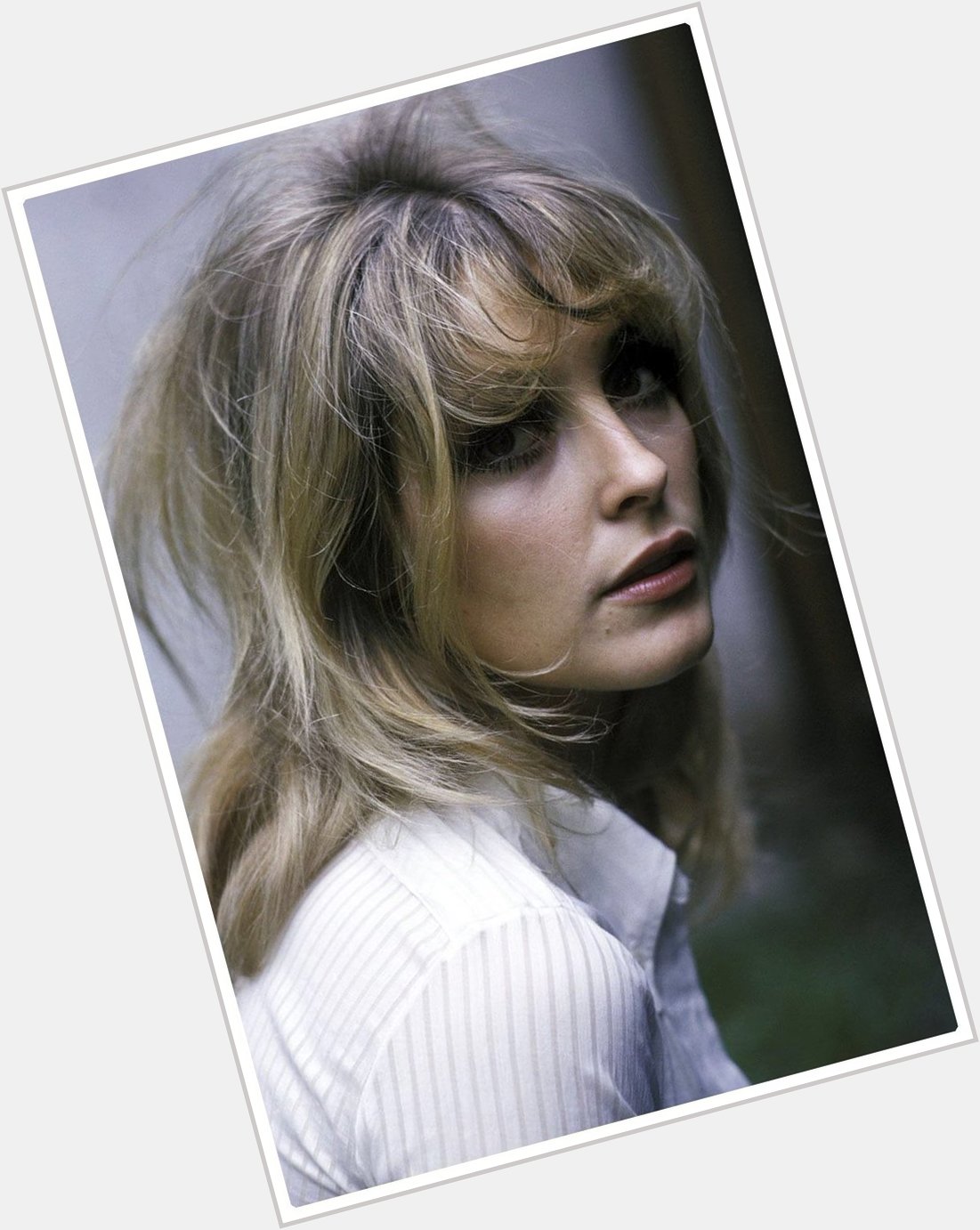 Happy Birthday Sharon Tate. The biggest broken heart of all. Wishing her family the best. 