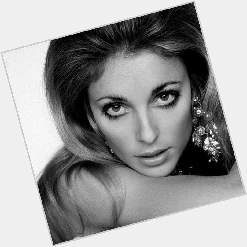Sharon Tate would have been 77 years old today. Happy Birthday to this ever so lovely and stunning beauty. 
