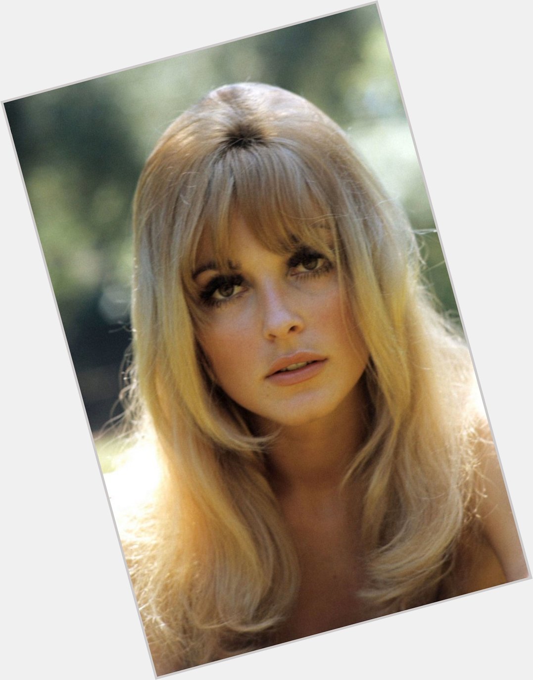 Happy Birthday to the beautiful and talented Sharon Tate!  (1943 1969) 