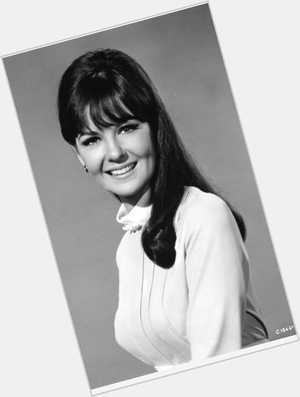 Happy 79th Birthday to Shelley Fabares 