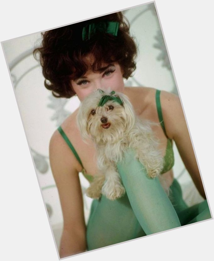 Shirley MacLaine in Irma la Douce,

Happy Birthday ! 
