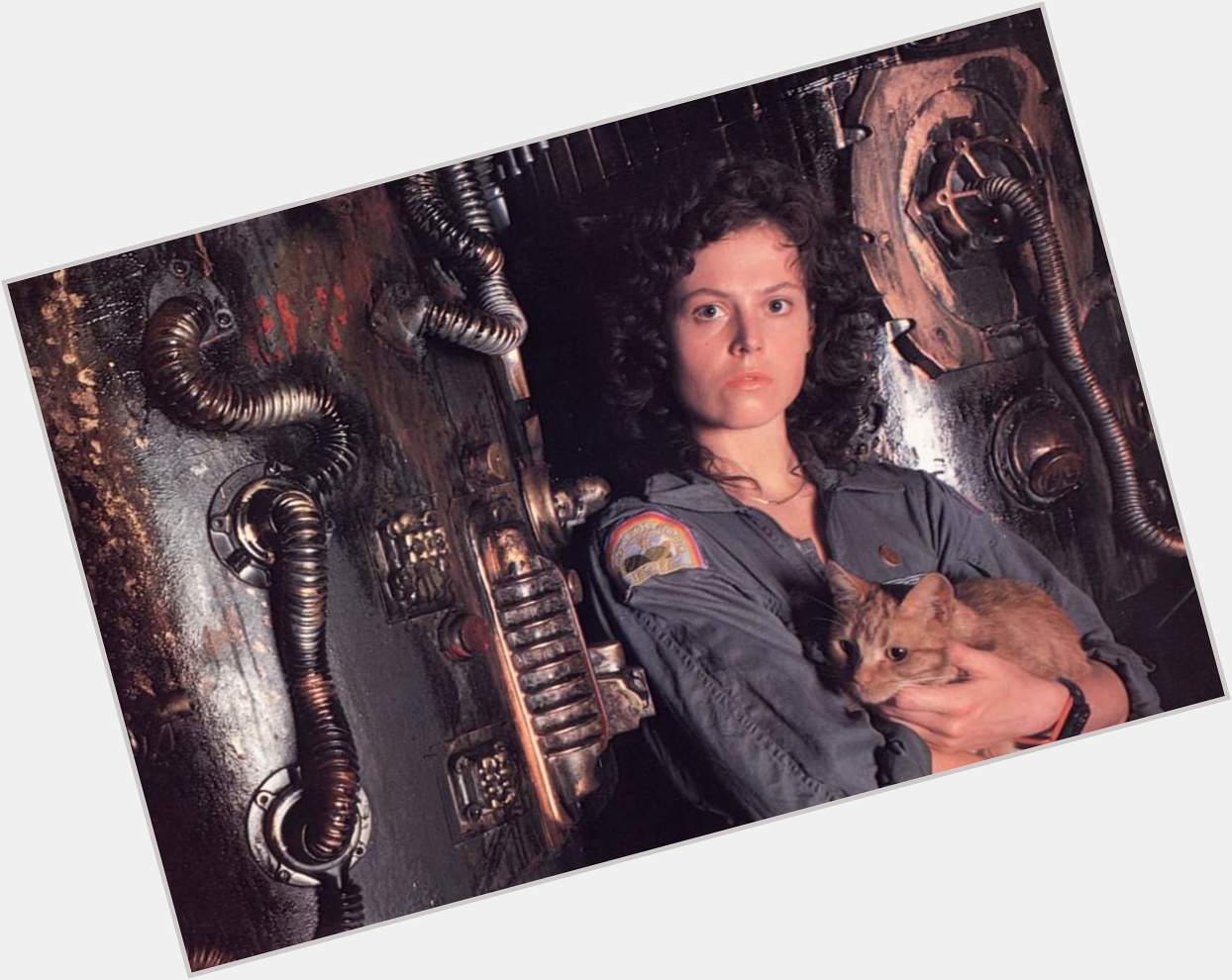 Happy Birthday to the beautiful Sigourney Weaver. 
Born on October 8th, 1949 