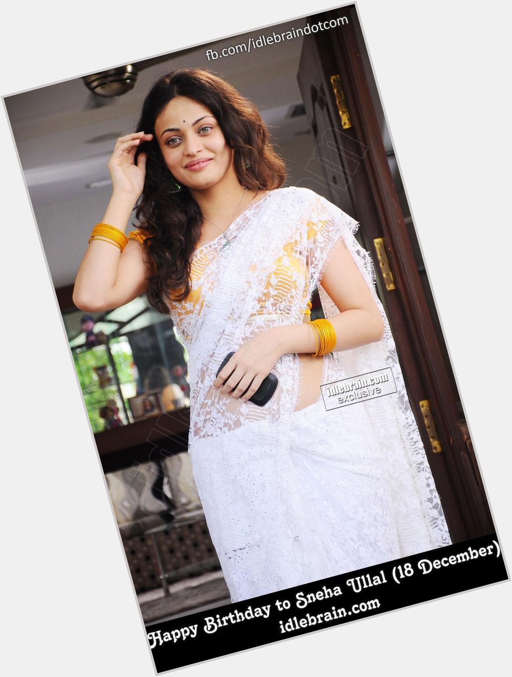 Happy Birthday to Sneha Ullal (18 December) 