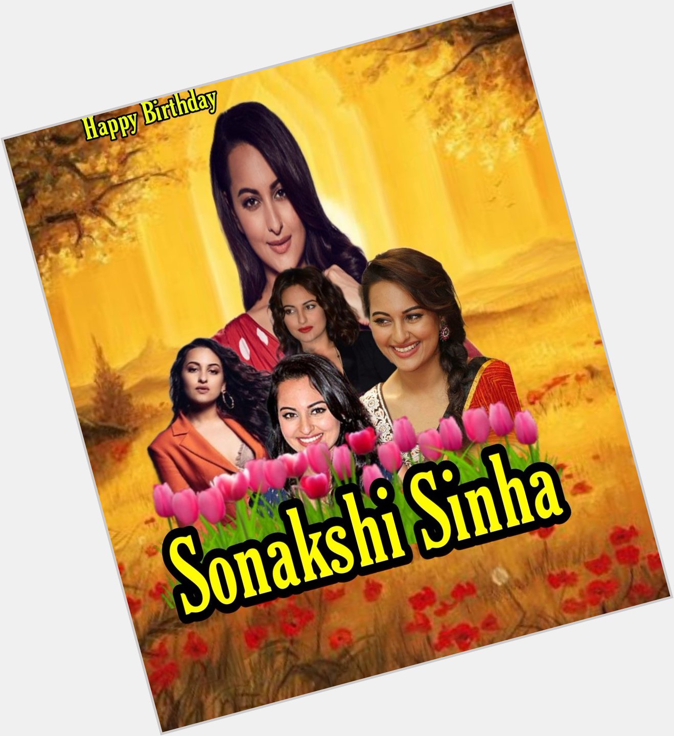Happy Birthday Sonakshi Sinha   