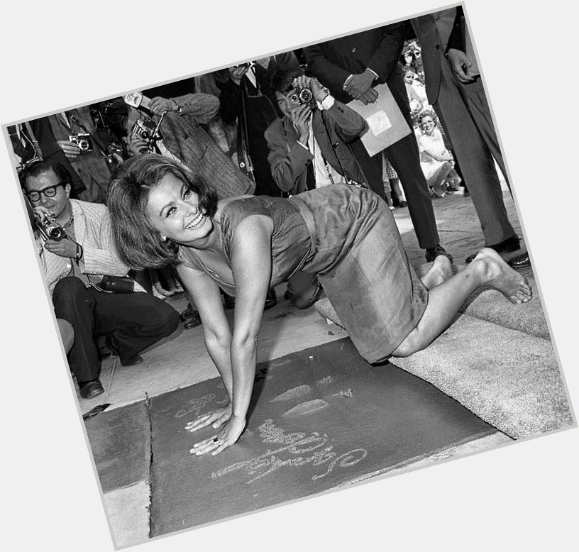 Happy birthday Sophia Loren! She\s pictured at her imprint ceremony in 1962. 
