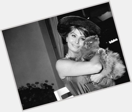 I adore this woman. Happy birthday to Sophia Loren. 
