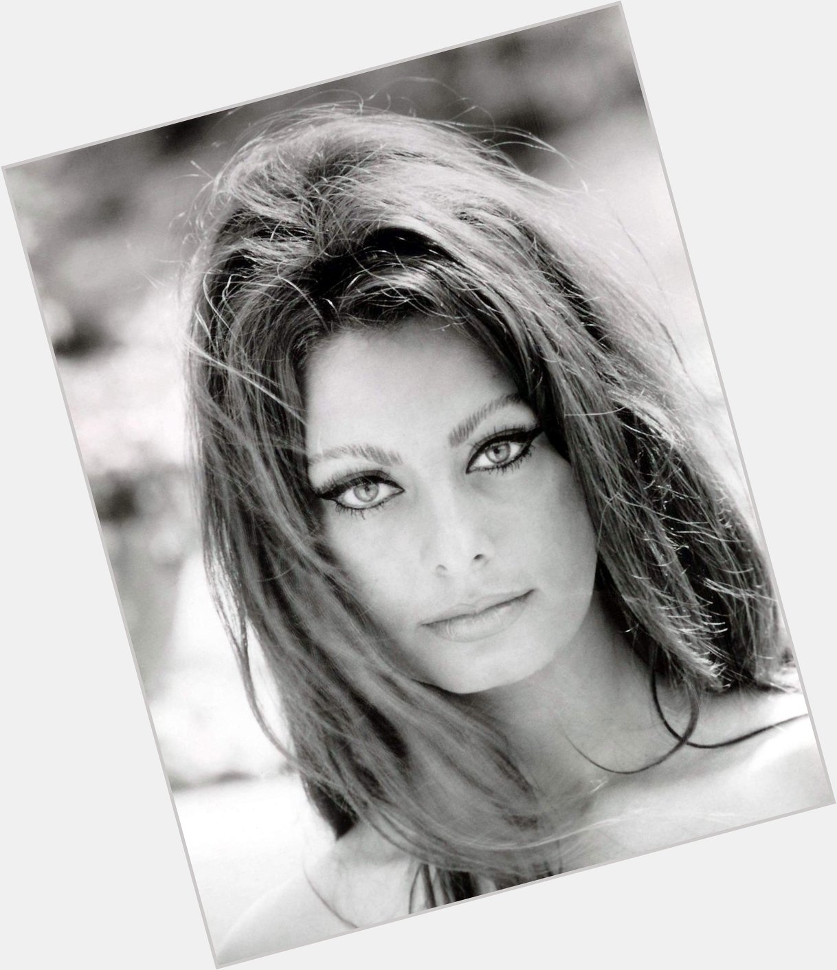 Happy Birthday, Sophia Loren!
Que guapa y buena gente

 