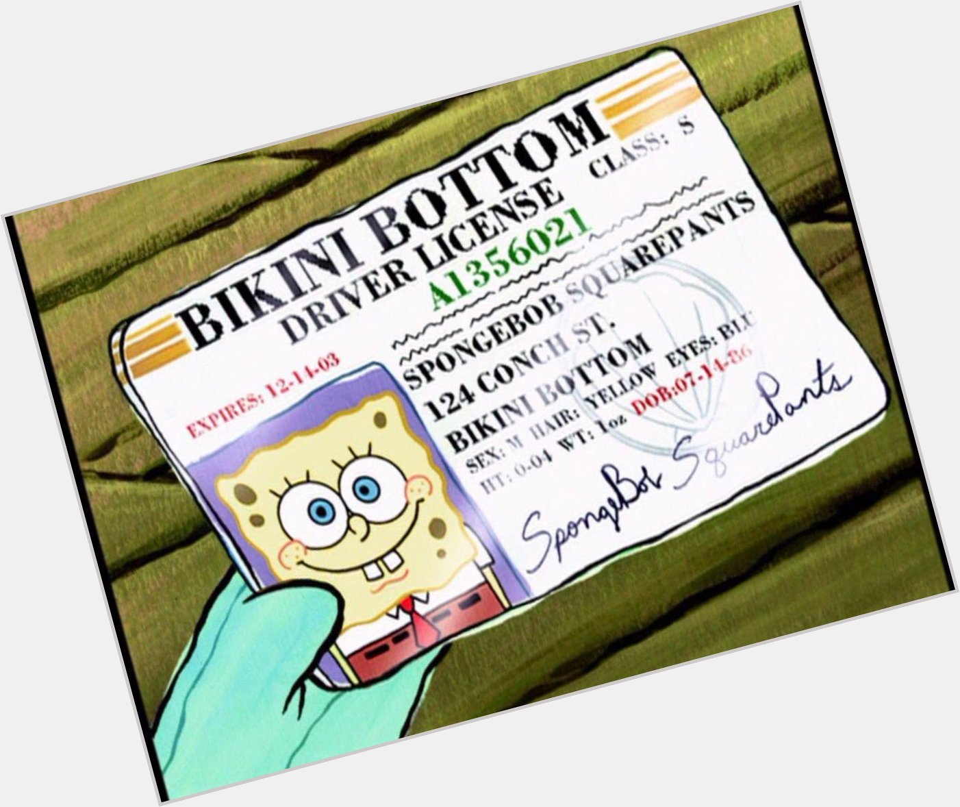 Did you know that has the same birthday as Spongebob Squarepants!! Happy 18th birthday Chano!! 