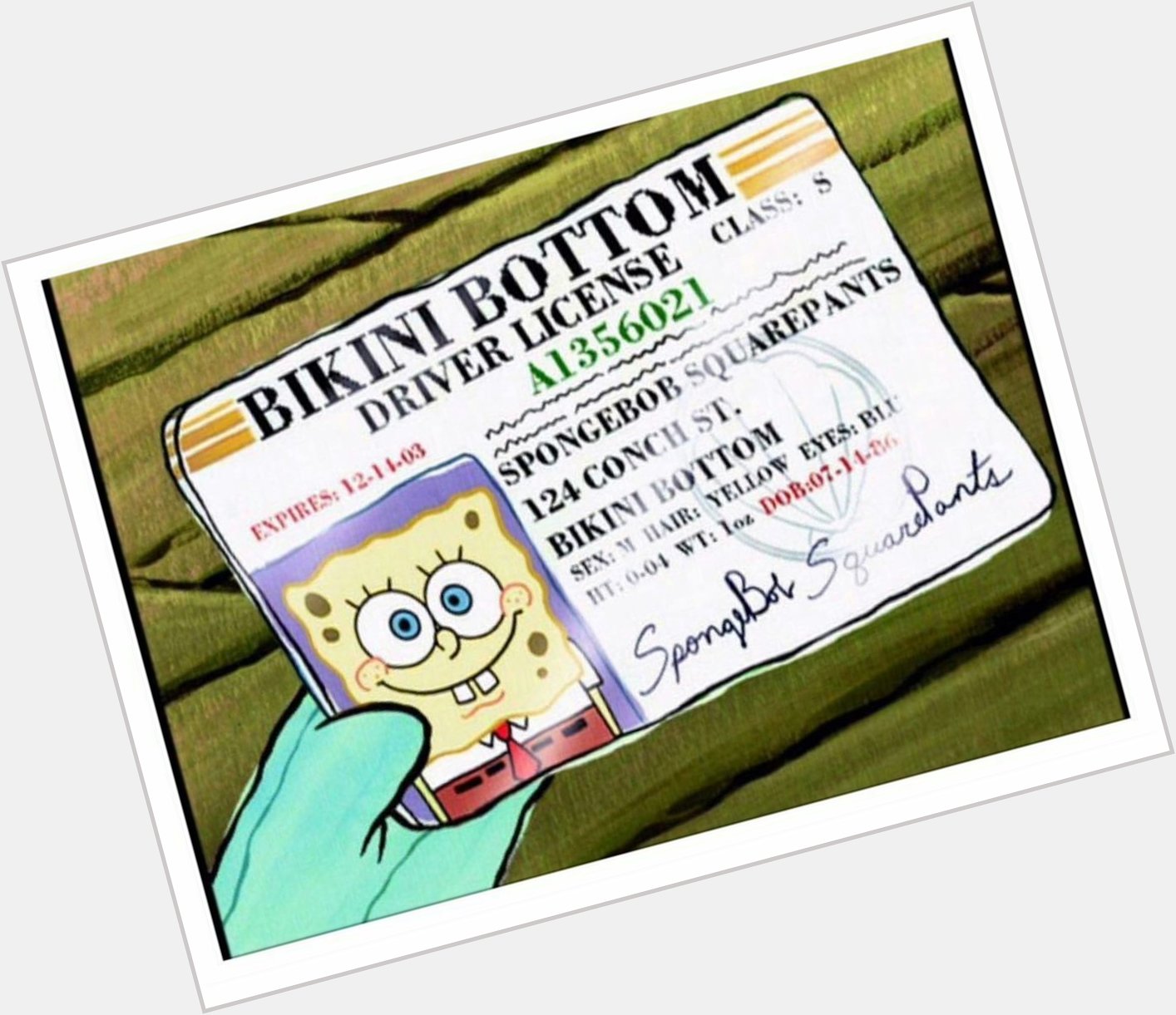 I just want to wish Spongebob Squarepants a very happy birthday  