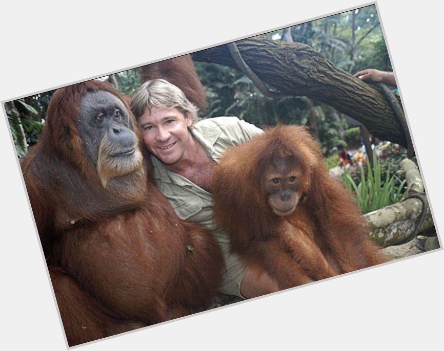 Happy Birthday Steve Irwin, you made my childhood better with every animal you saved and show you did. 