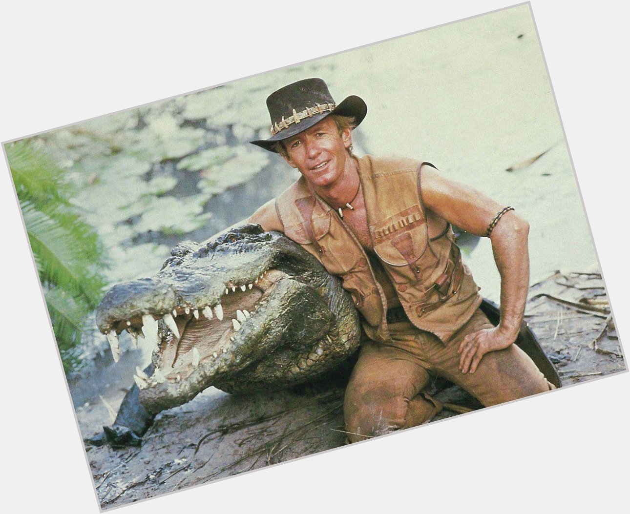 Happy Birthday to Steve Irwin, the one and only 