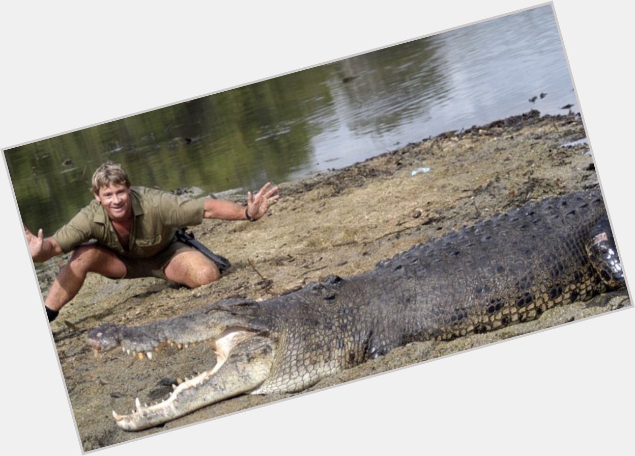 I miss steve irwin so much, happy birthday to him   rest in peace crocodile hunter <3 