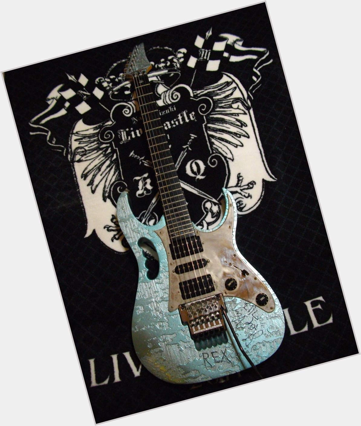  Happy birthday Mr.Steve Vai!
I\m proud of playing the JEM named and autographed by you.
Thank you. 