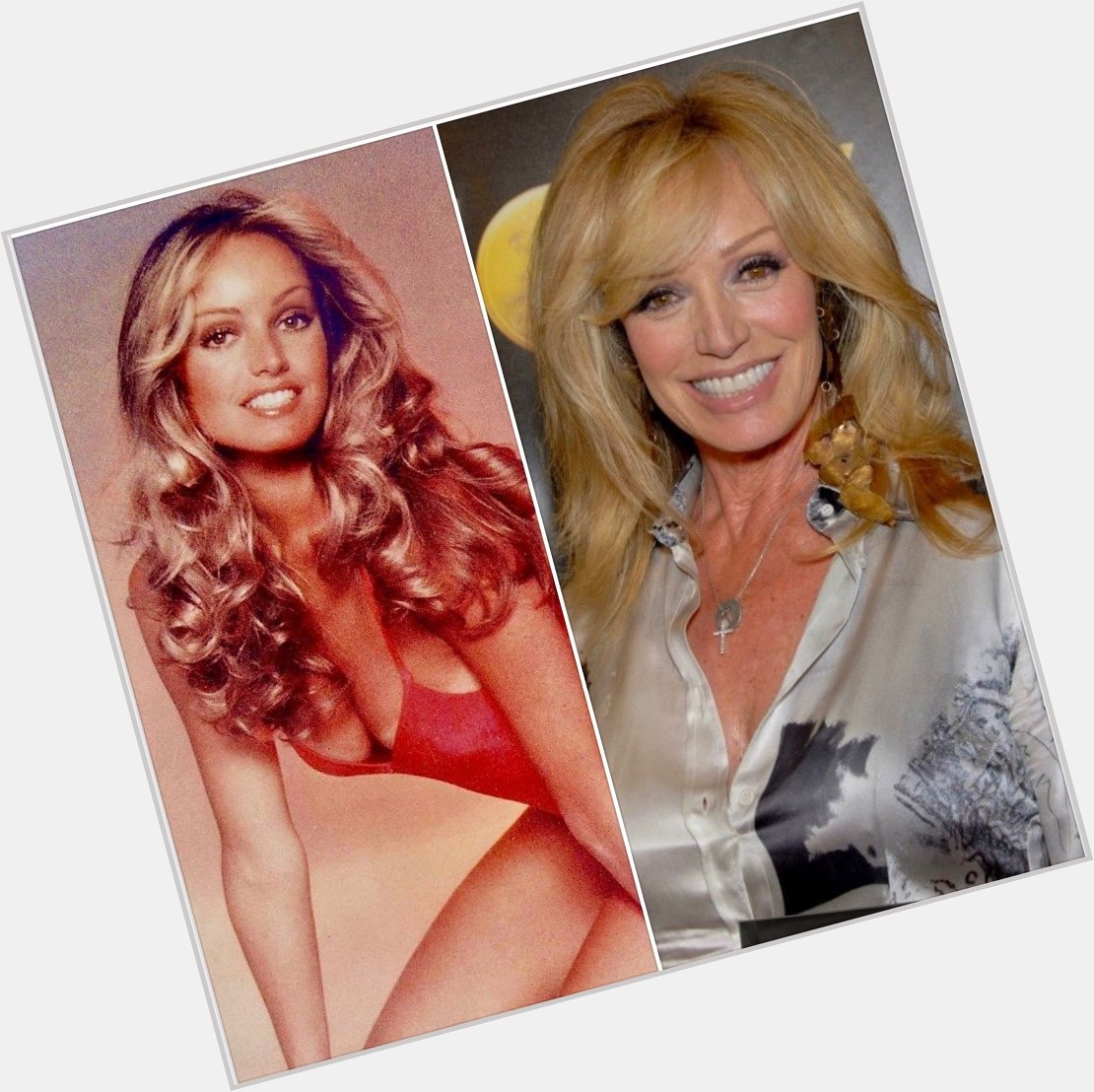 Happy birthday, Susan Anton!

The actress and singer is 69 today 