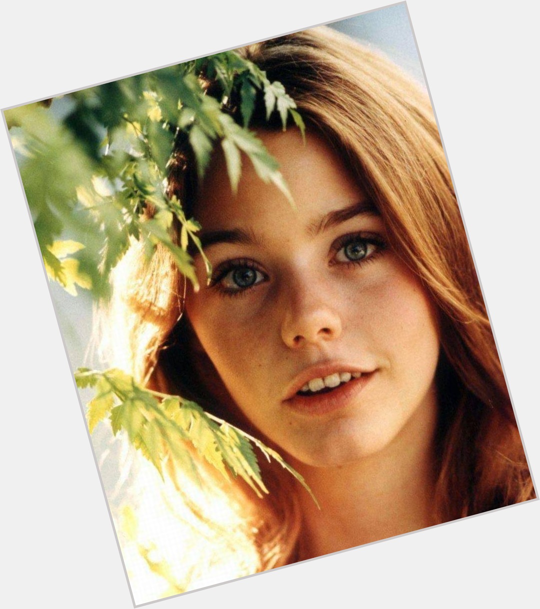 Happy Birthday to Susan Dey who turns 69 today!  Pictured here when she played Laurie Partridge.  