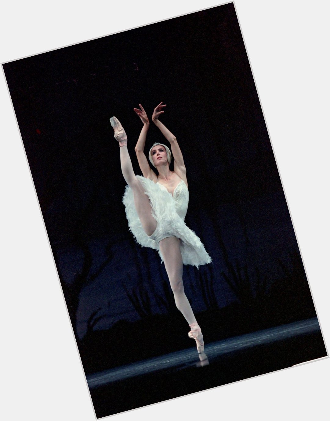 February the 25th is the birthday of the one and only Sylvie Guillem. Happy Birthday! 
